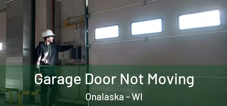  Garage Door Not Moving Onalaska - WI